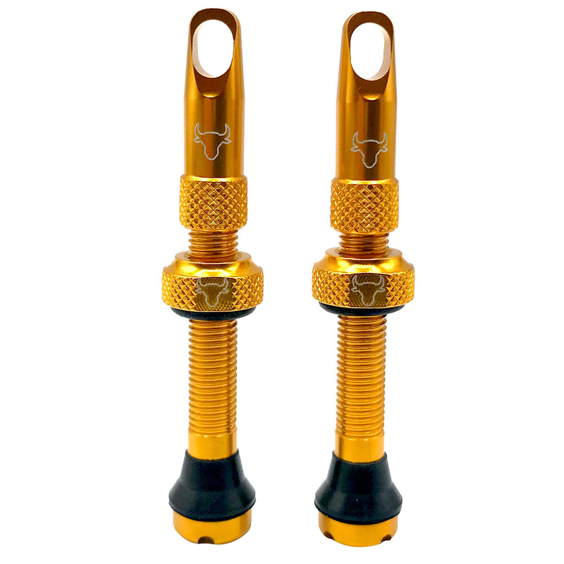 Load image into Gallery viewer, Hold-Fast-Cycling-Premium-Insert-Tubeless-Valves-TBVL0506