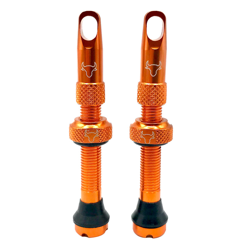 Load image into Gallery viewer, Hold-Fast-Cycling-Premium-Insert-Tubeless-Valves-TBVL0514