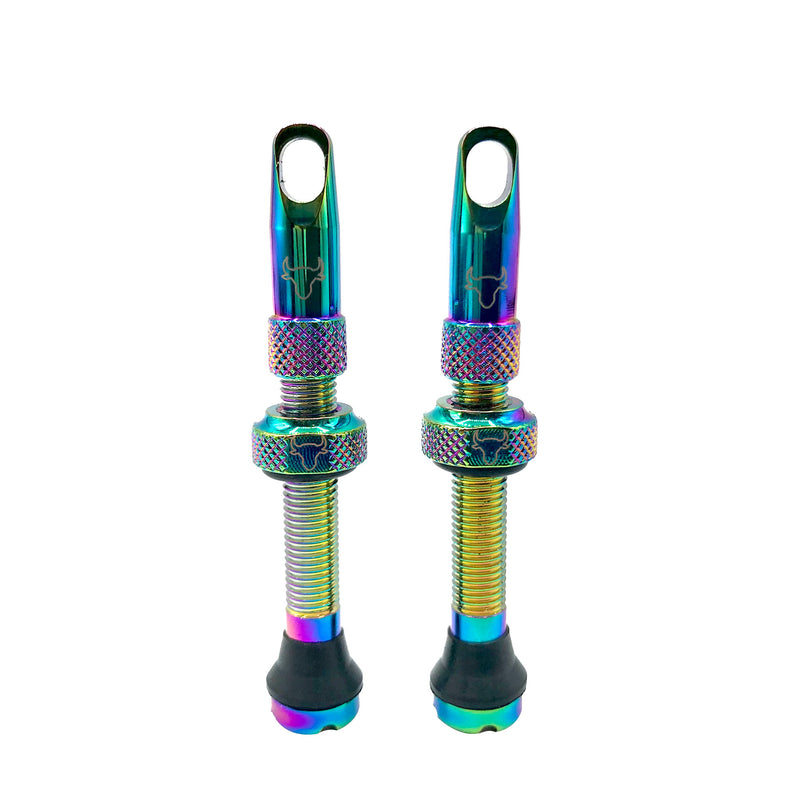 Load image into Gallery viewer, Hold-Fast-Cycling-Premium-Insert-Tubeless-Valves-TBVL0499