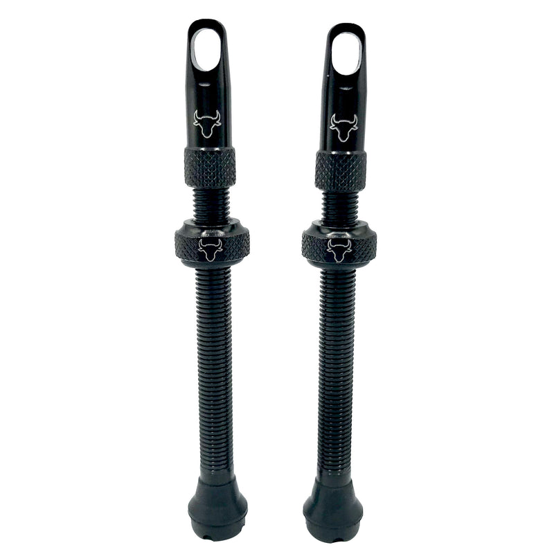 Load image into Gallery viewer, Hold-Fast-Cycling-Premium-Insert-Tubeless-Valves-TBVL0504