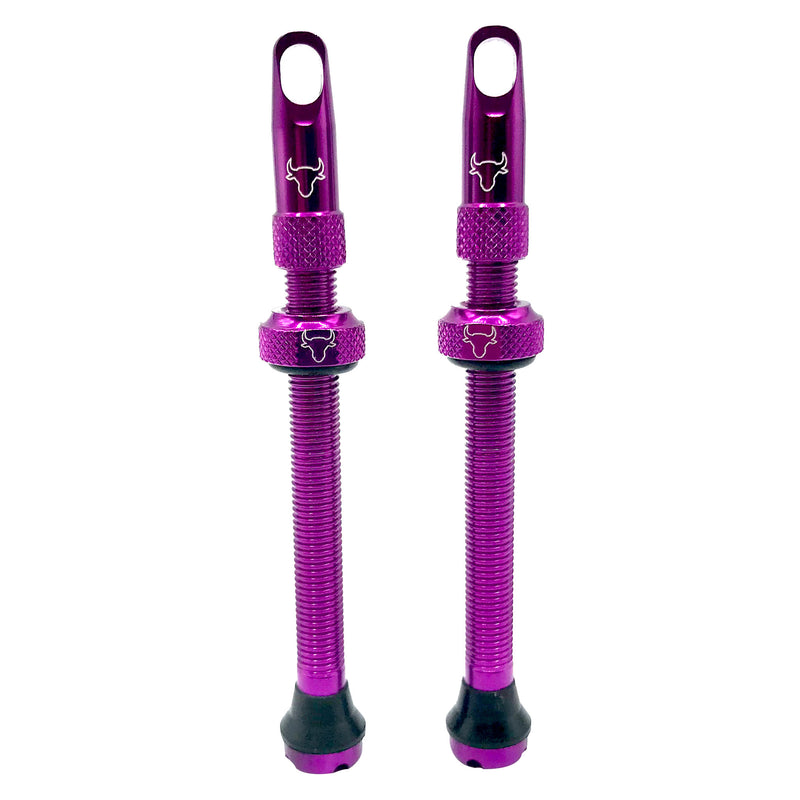Load image into Gallery viewer, Hold-Fast-Cycling-Premium-Insert-Tubeless-Valves-TBVL0505