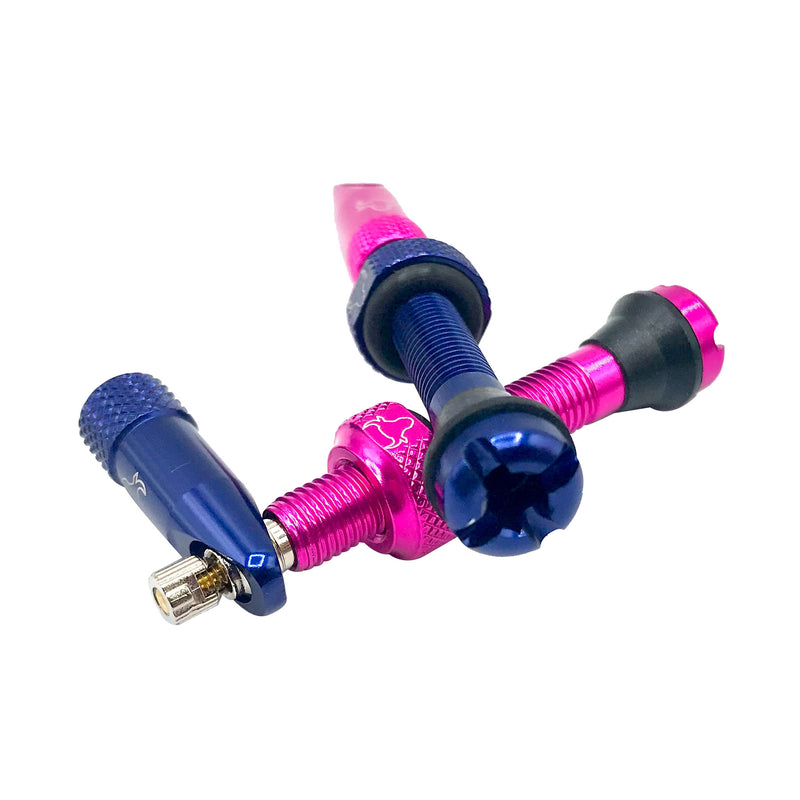 Load image into Gallery viewer, Hold Fast Cycling Tubeless Valve Stem, 65mm (Pair) - Turquoise NLS