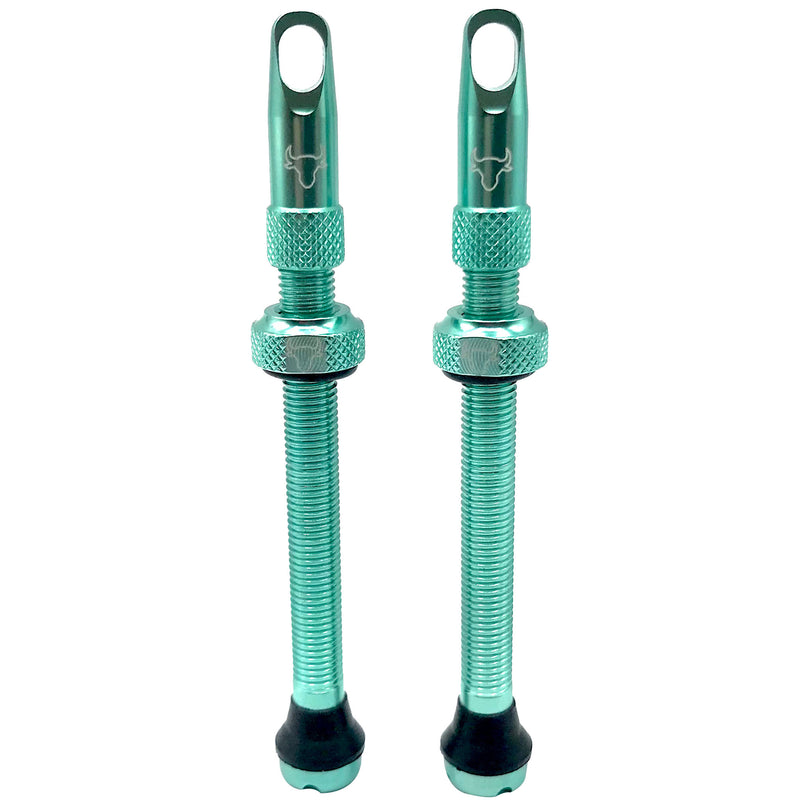 Load image into Gallery viewer, Hold-Fast-Cycling-Premium-Insert-Tubeless-Valves-TBVL0516