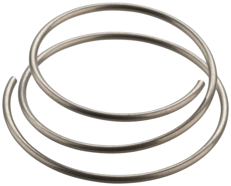 Load image into Gallery viewer, DT Swiss Star Ratchet Spring Bundle for All Star Ratchet Hubs | Durable, High-Performance Hub Repair Parts