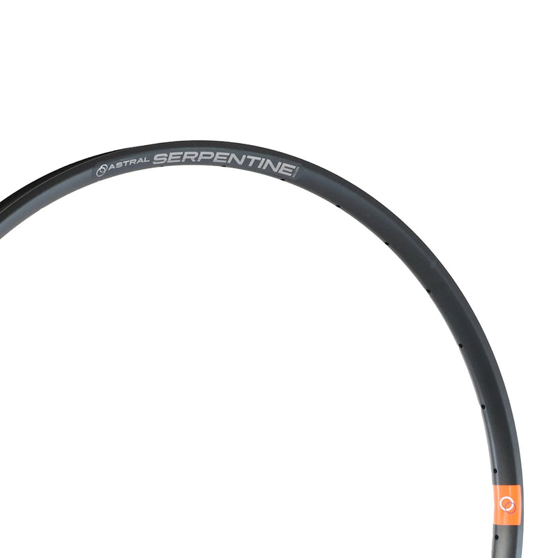 Load image into Gallery viewer, Astral Serpentine 29" Alloy Disc Brake Rim, 32h, Black