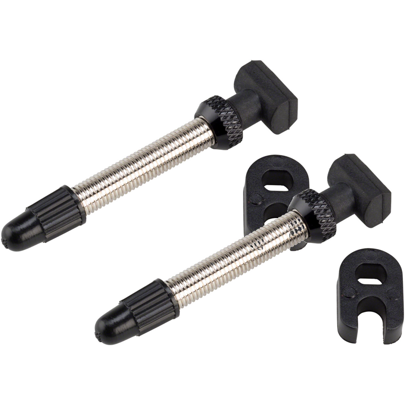 Load image into Gallery viewer, DT-Swiss-Tubeless-Valves-Tubeless-Valves-PU2451PO2