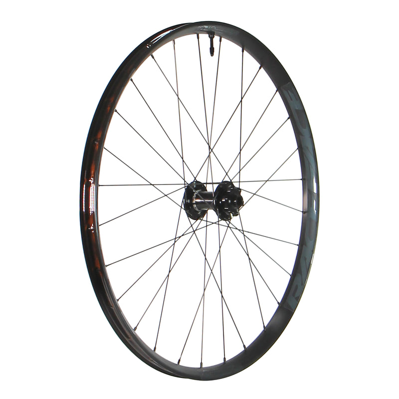 Load image into Gallery viewer, Race-Face-Aeffect-R-Front-Wheel-Tubeless-Ready-FTWH0785-Bicycle-Front-Wheel