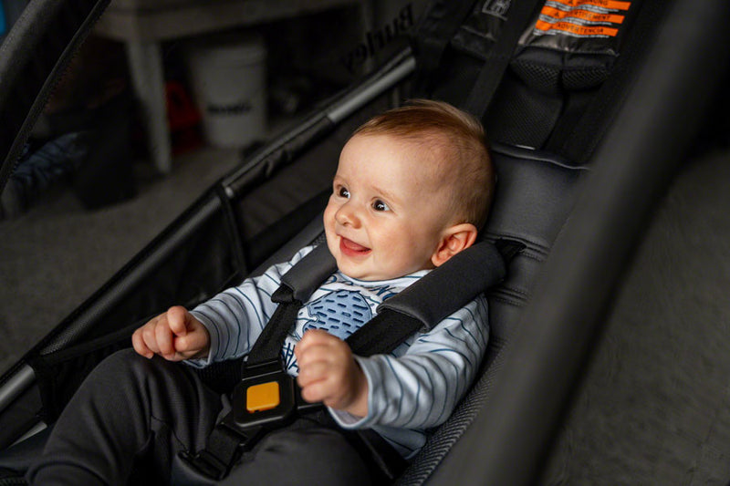 Load image into Gallery viewer, Burley Baby Seat Insert