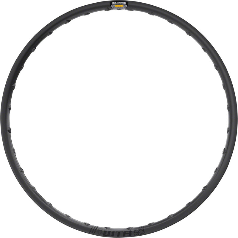 Load image into Gallery viewer, WTB-Rim-29-in-Tubeless-Ready-Carbon-Fiber-RM0089-Bicycle-Rims-For-Custom-Wheels