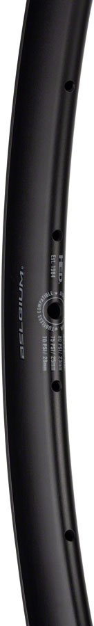 Load image into Gallery viewer, HED Belgium R Rim - 700, Disc, Black, 32H