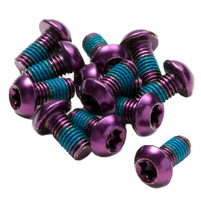 Load image into Gallery viewer, Reverse-Torx-T25-Rotor-Bolts-Disc-Rotor-Parts-and-Lockrings-DSRT0837