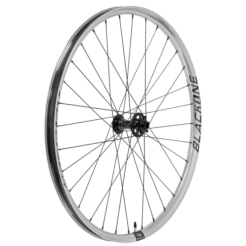 Load image into Gallery viewer, Reverse Black One Wheelset (MS), 29/29", 15x110/12x148mm, Silv