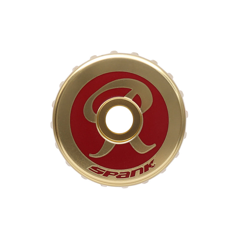 Load image into Gallery viewer, Spank SOLD OUT: SPANK X Rainier SPLIT 35 Stem 40mm x 35.0 Rainier Gold
