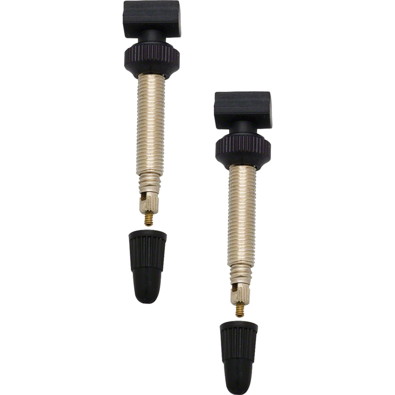 Load image into Gallery viewer, DT-Swiss-Tubeless-Valves-TBVL0345PO2