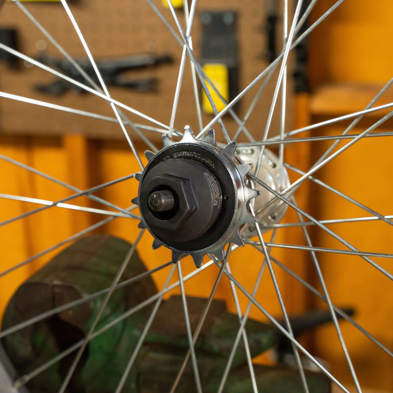Load image into Gallery viewer, Pedro&#39;s Freewheel Socket, Single Speed 4-Notch x 40mm
