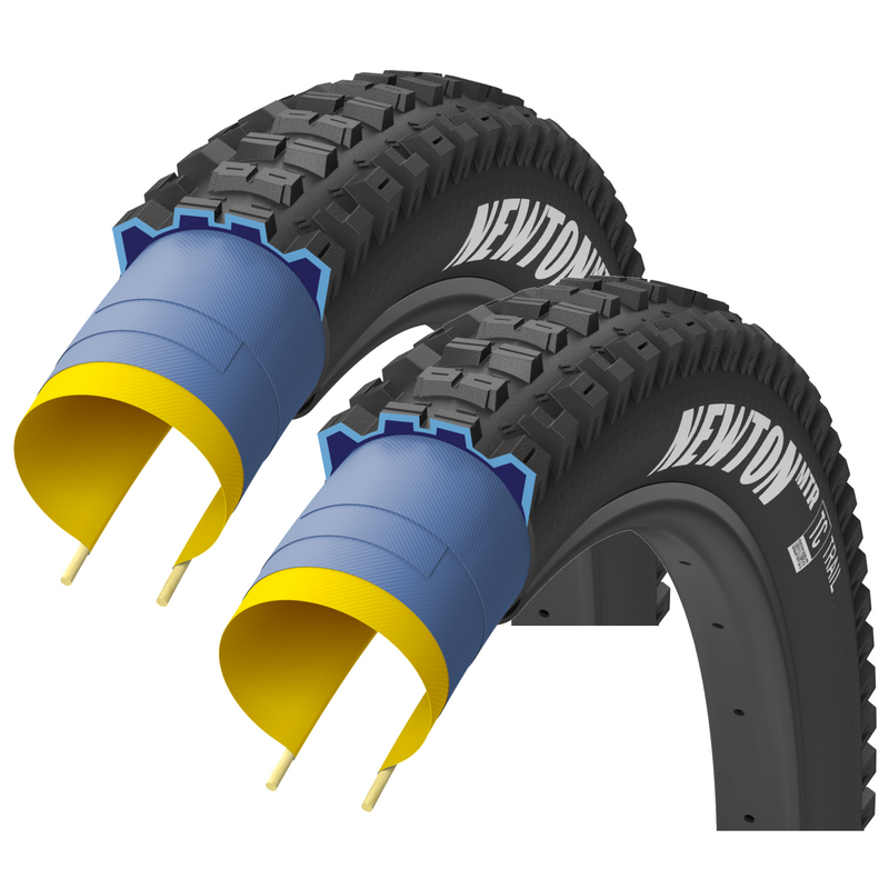 Load image into Gallery viewer, Goodyear-Newton-MTR-Tire-29-in-2.4-Folding-TR2978PO2-Folding-Tires