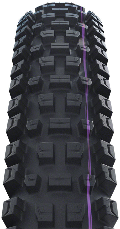 Load image into Gallery viewer, Schwalbe Albert Trail Pro Mountain Tire, 29"x2.50, Folding, Tubeless Ready, Addix Ultra Soft, Radial, Black