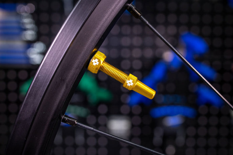 Load image into Gallery viewer, Muc-Off V2 Tubeless Valve Kit - Gold, 60mm, Pair 4mm Machined Allen Key Slot
