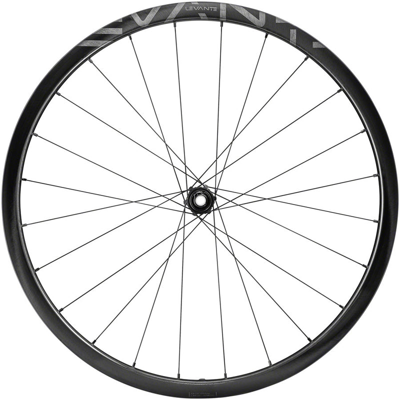 Load image into Gallery viewer, Campagnolo Levante Rear Wheel 700c 12x142mm Center Lock N3W 2-Way Fit Black