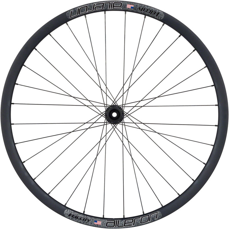Load image into Gallery viewer, Quality Wheels Bear Pawls / Velocity Aileron Front Wheel - 700c, 12 x 100mm, Center-Lock, Black, 32H