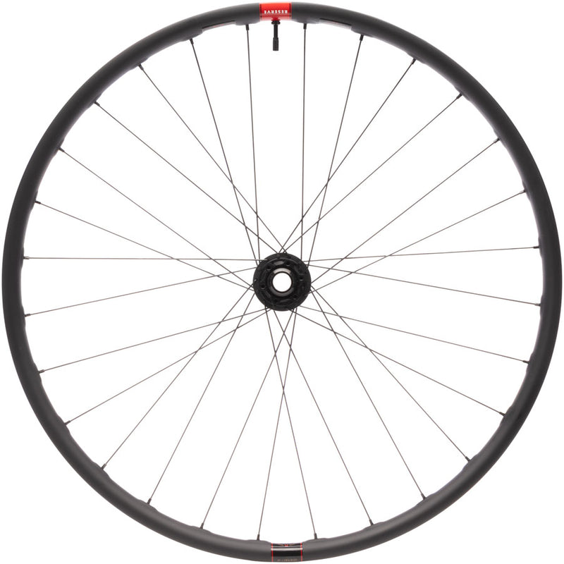 Load image into Gallery viewer, Quality Wheels DT 240 / Reserve 30 HD Carbon Front Wheel - 29", 20 x 110mm DH, 6-Bolt, Carbon, 28H