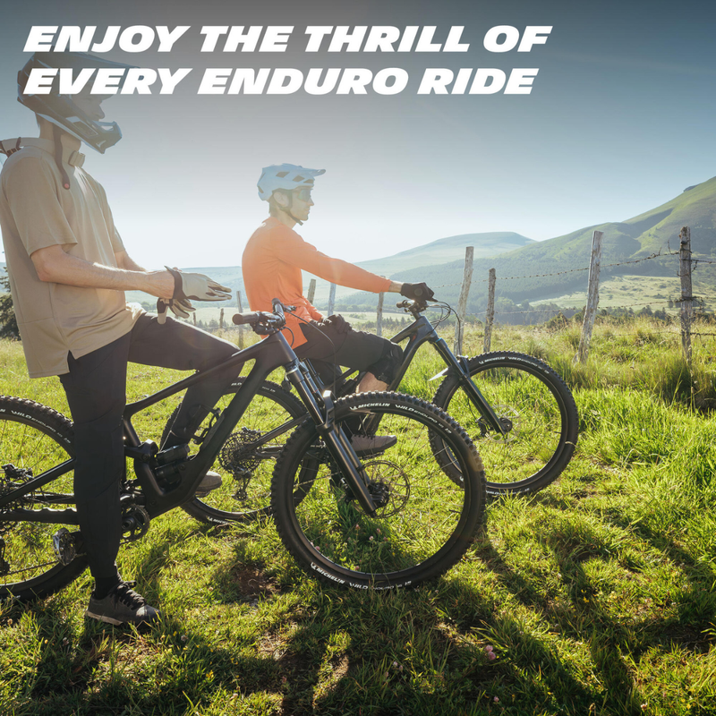 Load image into Gallery viewer, Michelin WILD ENDURO REAR PERF. LINE, Mountain Tire, 29x2.40, Folding, Tubeless Ready, MAGI-X, GUM-X, 2x33, Black
