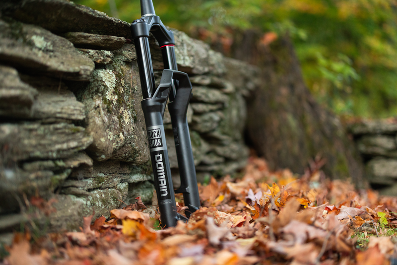 Load image into Gallery viewer, RockShox Domain Gold C1 Suspension Fork, 29'', DebonAir, 170mm, 1-1/8''-1.5'', 15x110mm TA, Rake: 44mm, Black