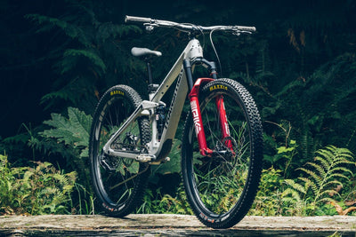 What Size Bike Do I Need? A Complete Guide To Frames, Wheels, And Fit