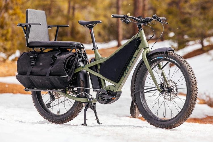 Tern Cargo Ebike