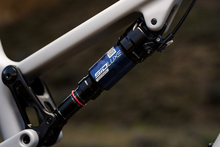 Rear Shocks