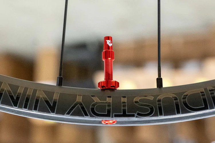Tubeless Valves