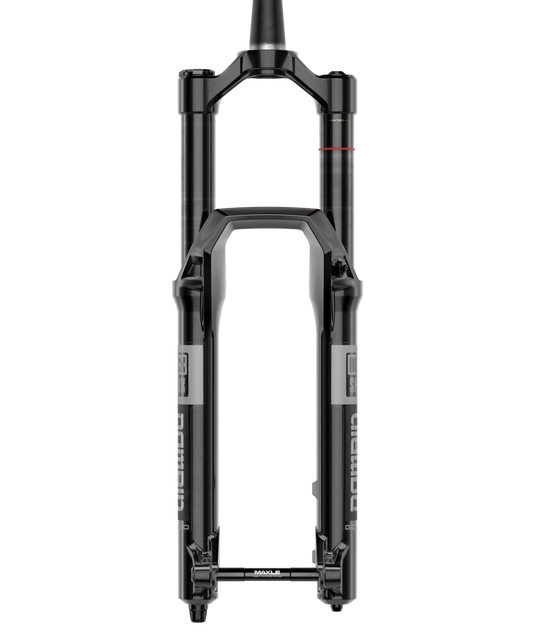 RockShox Domain Gold Isolator RC3 29-Inch Suspension Fork - 170mm Travel, 38mm Stanchions, 15x110mm Boost Axle, Tapered Steerer, Gloss Black, Enduro & Mountain Bike Performance, Advanced Isolator Damper, DebonAir Spring, E-MTB Ready