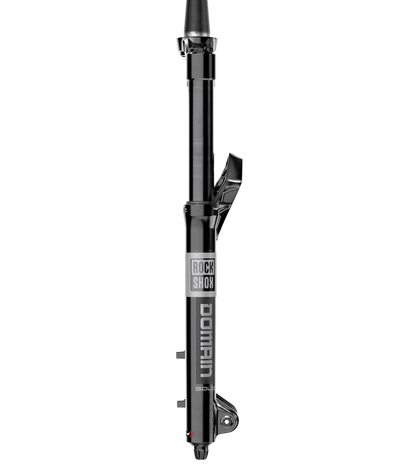 Load image into Gallery viewer, RockShox Domain Gold Isolator RC3 Suspension Fork - 29&quot;, 160 mm, 15 x 110 mm, 44 mm Offset, Gloss Black, C1
