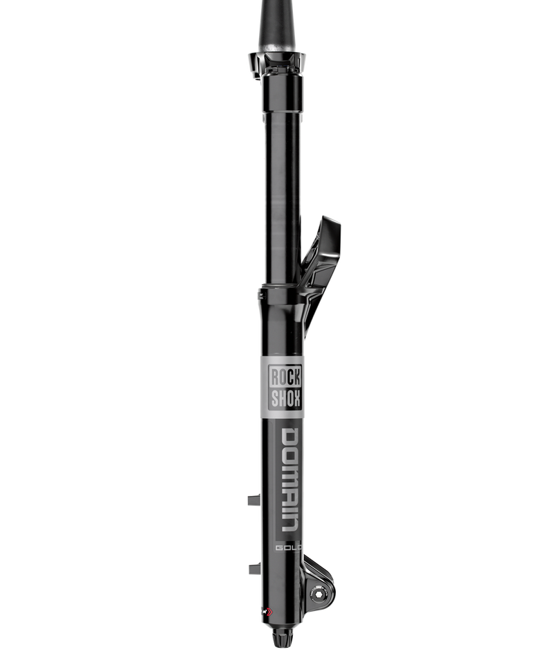 Load image into Gallery viewer, RockShox Domain Gold C1 Suspension Fork, 29'', DebonAir, 170mm, 1-1/8''-1.5'', 15x110mm TA, Rake: 44mm, Black

