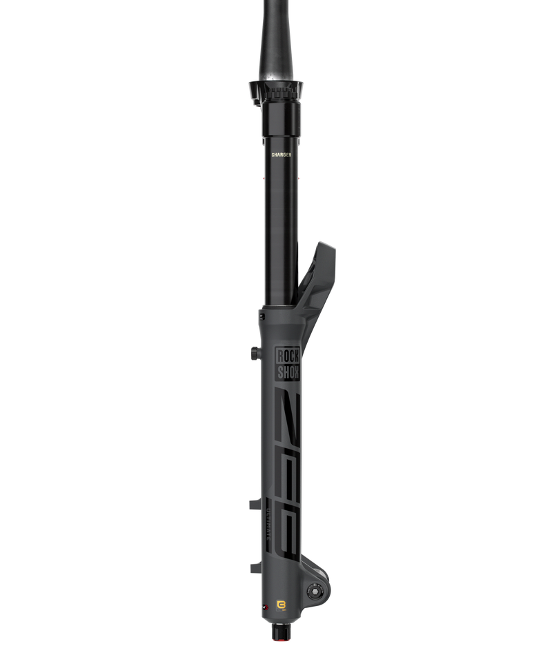 Load image into Gallery viewer, RockShox ZEB Ultimate Charger 3.1 RC2 Suspension Fork - 29&quot;, 180 mm, 15 x 110 mm, 44 mm Offset, Gray, A3
