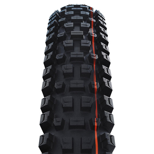 Schwalbe Albert Gravity Pro Mountain Tire, 27.5