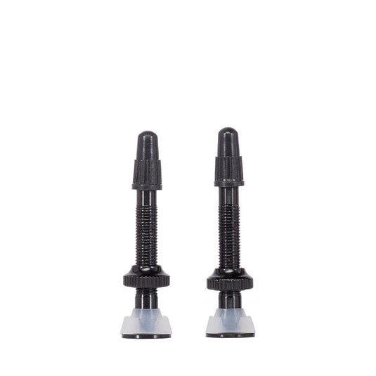ARISE-Tubeless-Valves-TBVL0420