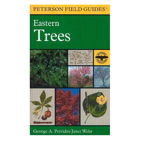 HOUGHTON-MIFFLIN-Literature-LTRT0368