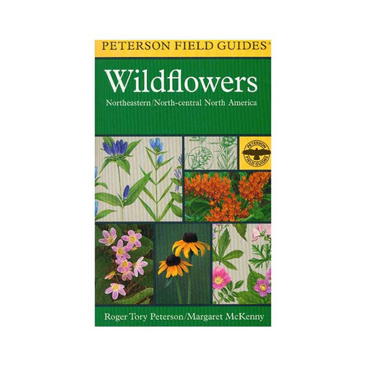 HOUGHTON-MIFFLIN-Literature-LTRT0370