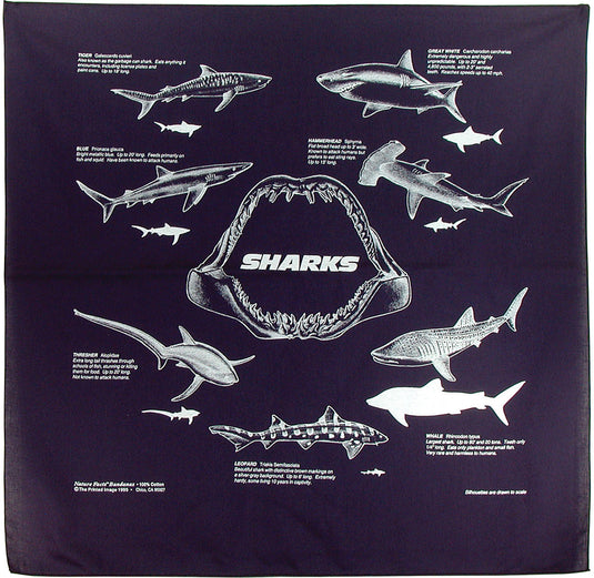 Nature Facts Bandanas Set with Carabiners - Explore the Outdoors in Style!