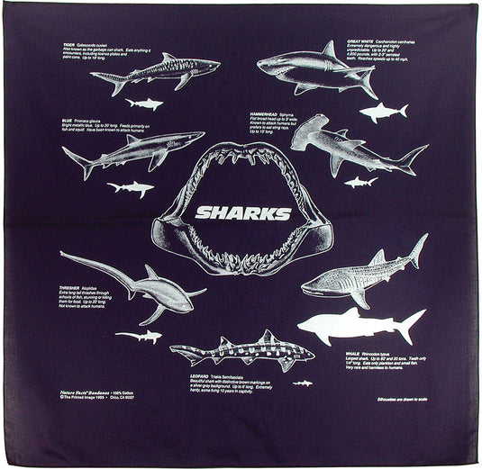 Nature Facts Bandanas: Birds of Prey Bandana - Learn and Explore with Style!