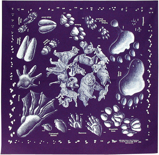 Explore the Depths with our Shark-themed Nature Facts Bandana!