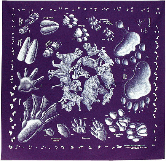 Load image into Gallery viewer, Explore Nature with The Printed Image Nature Facts Bandana - Scat Bandana Edition
