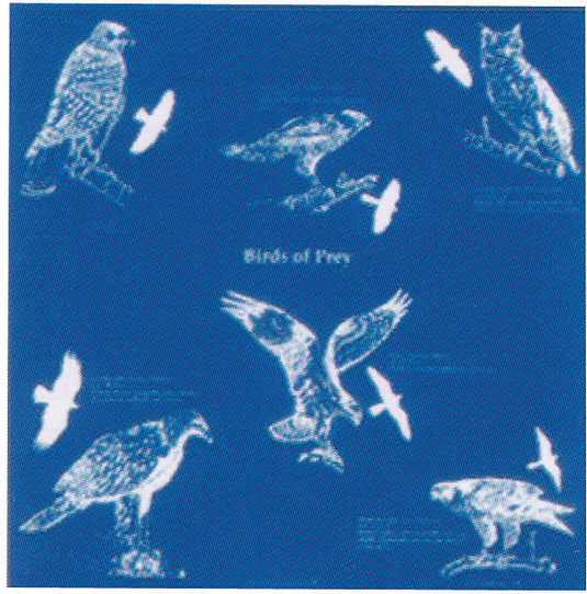 The Printed Image Nature Facts Bandanas: Owl-themed Bandana