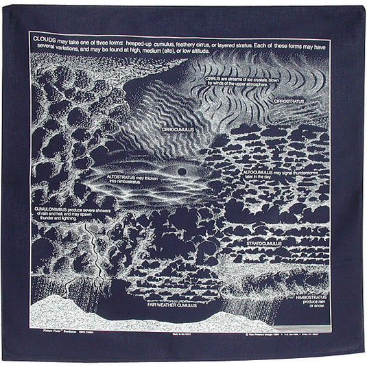 Trout Bandana: Explore Nature Facts with The Printed Image Bandanas