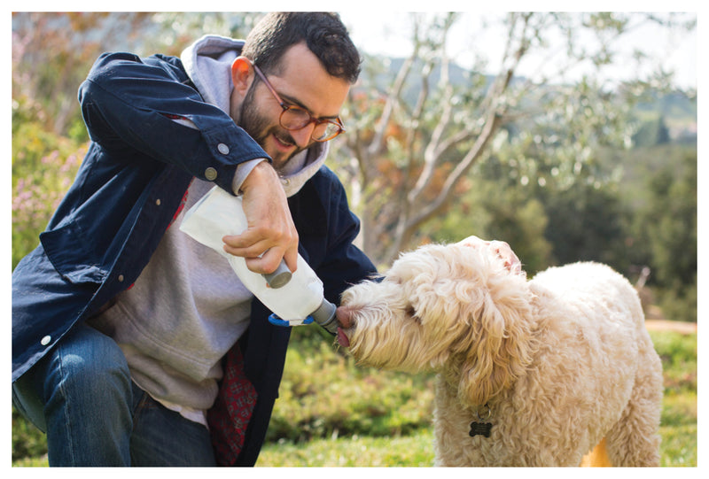 Load image into Gallery viewer, VAPUR-Water-Bottle-WTBT0986
