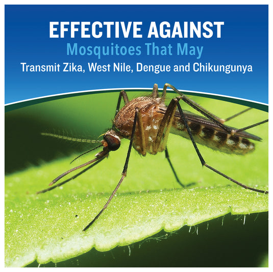 Repel Cutter Backwoods 23% Deet Dry Aerosol Insect Repellent - Stay Protected Outdoors!