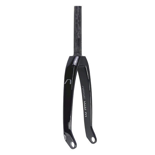 ARISE Solar Expert Rigid Fork, 20'', 1-1/8'', 10x100mm, Rake: 32mm, Black