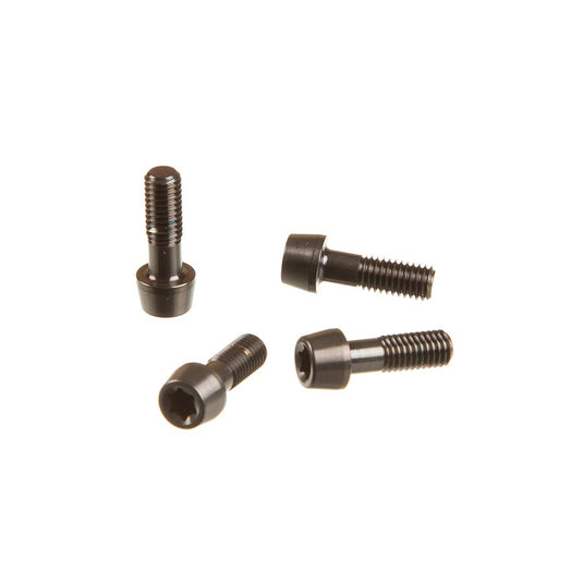 SRAM Faceplate/Bolt Kit for SL Speed B1, 11.6518.015.000