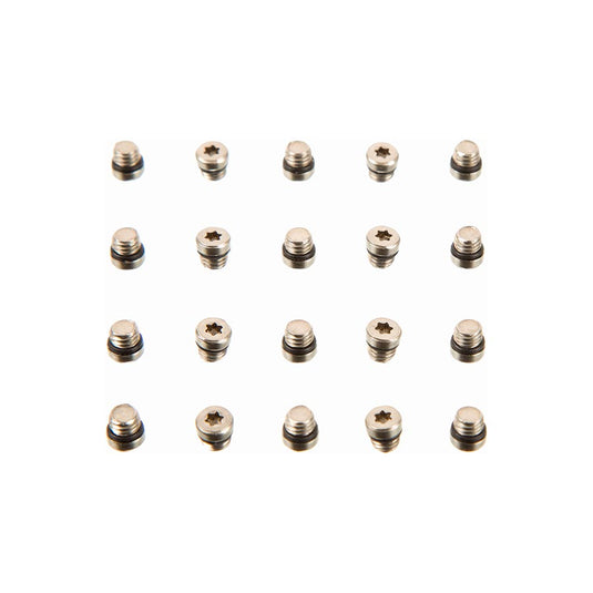 SRAM Lever Bleed Screw 20pcs